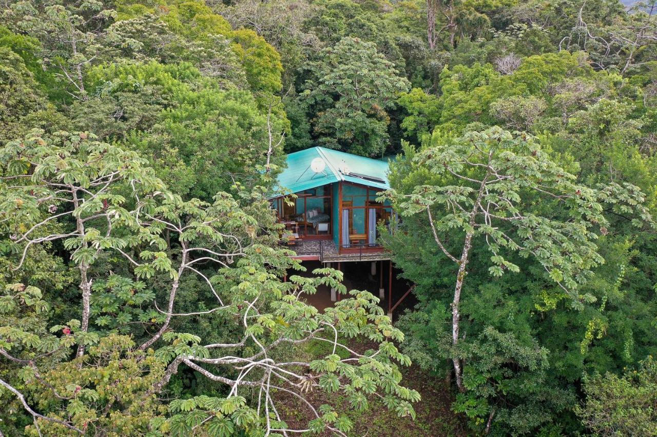 Above The Gulf, Vacation House Монте-Верде Экстерьер фото